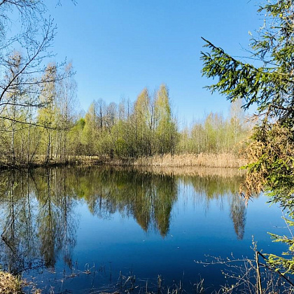 ��������� ������� 14,07 ����� �� ������ ����� � �.���������