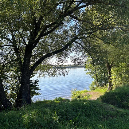 ��������� ������� 20 ����� �� ������ ����� �.�����