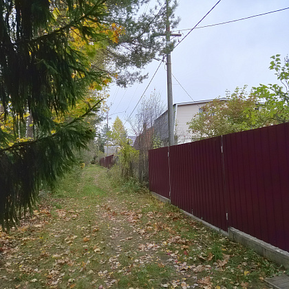 ��� ��� ���������� 119�� ��� ��������������� ����������